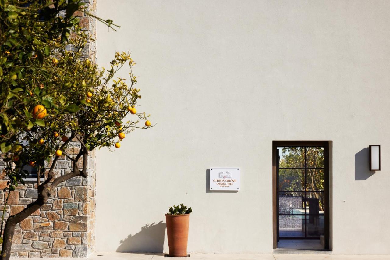 Citrus Grove Luxury Villas Skaleta Ngoại thất bức ảnh