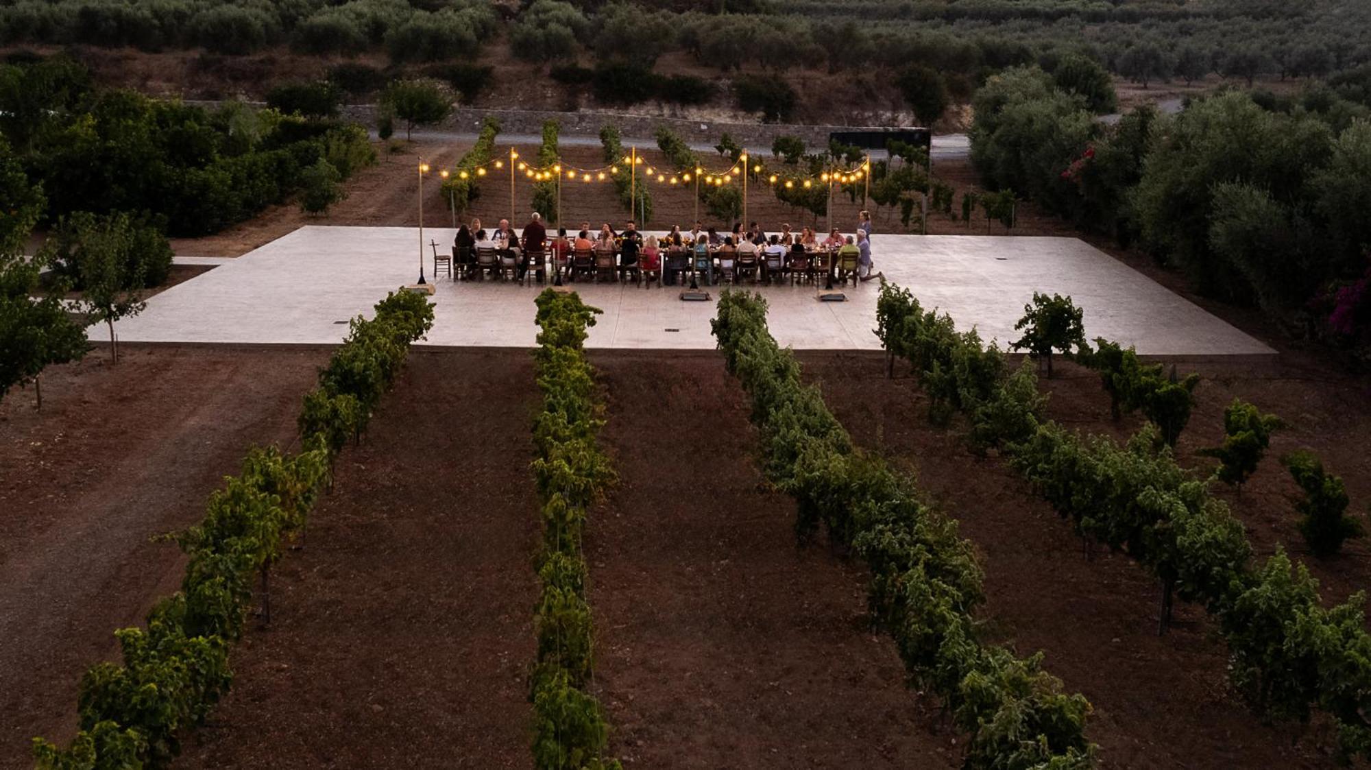 Citrus Grove Luxury Villas Skaleta Ngoại thất bức ảnh